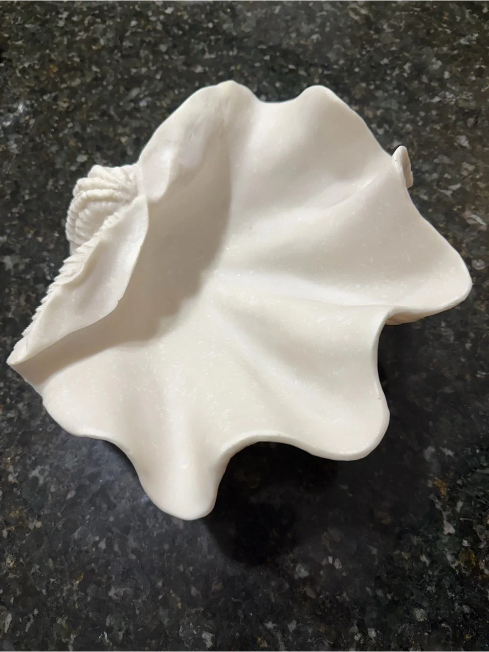 Sculptural White Giant Clam Shell Decorative Bowl Coastal Decor